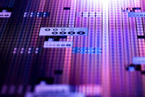 歐司朗戰略入股bolb，深化UVC技術布局引領行業革新