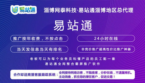 惠民網絡推廣效果好服務介紹——淄博網泰科技，以專業經驗與技術開發助力企業騰飛